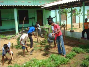Gardening